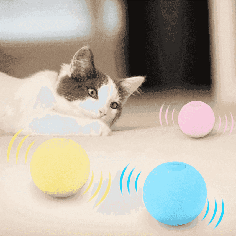 Bola Interativa para Gatos - CatBall - CONTED