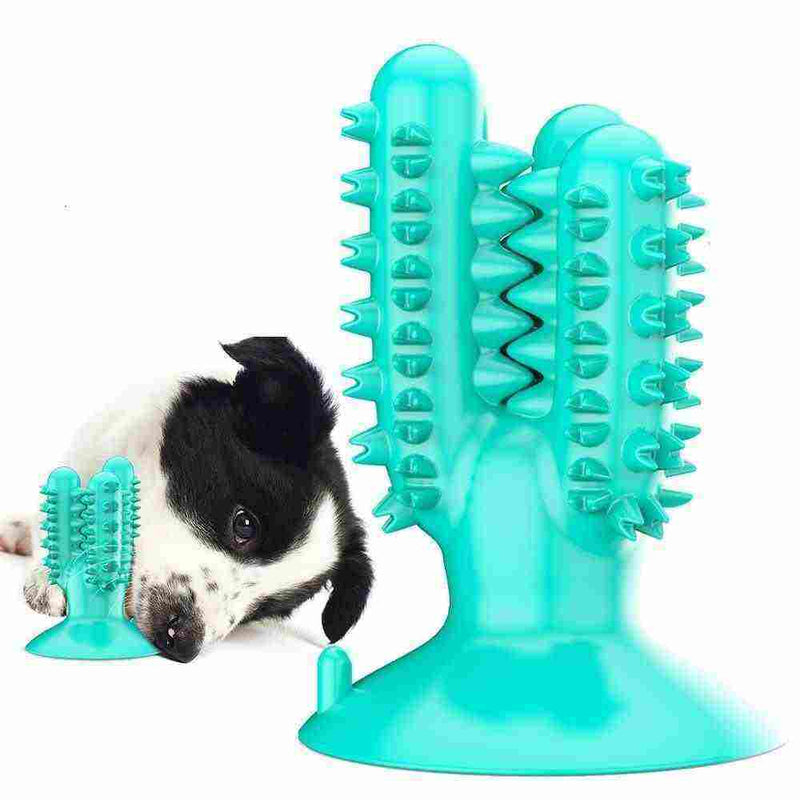 Brinquedo Mordedor Escova de Dentes para Cachorro - CONTED