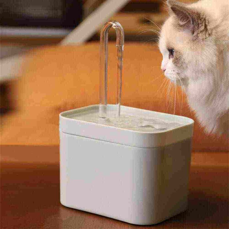 Fonte de Água Interativa para Gatos - Fonte Elétrica para Pets - CONTED